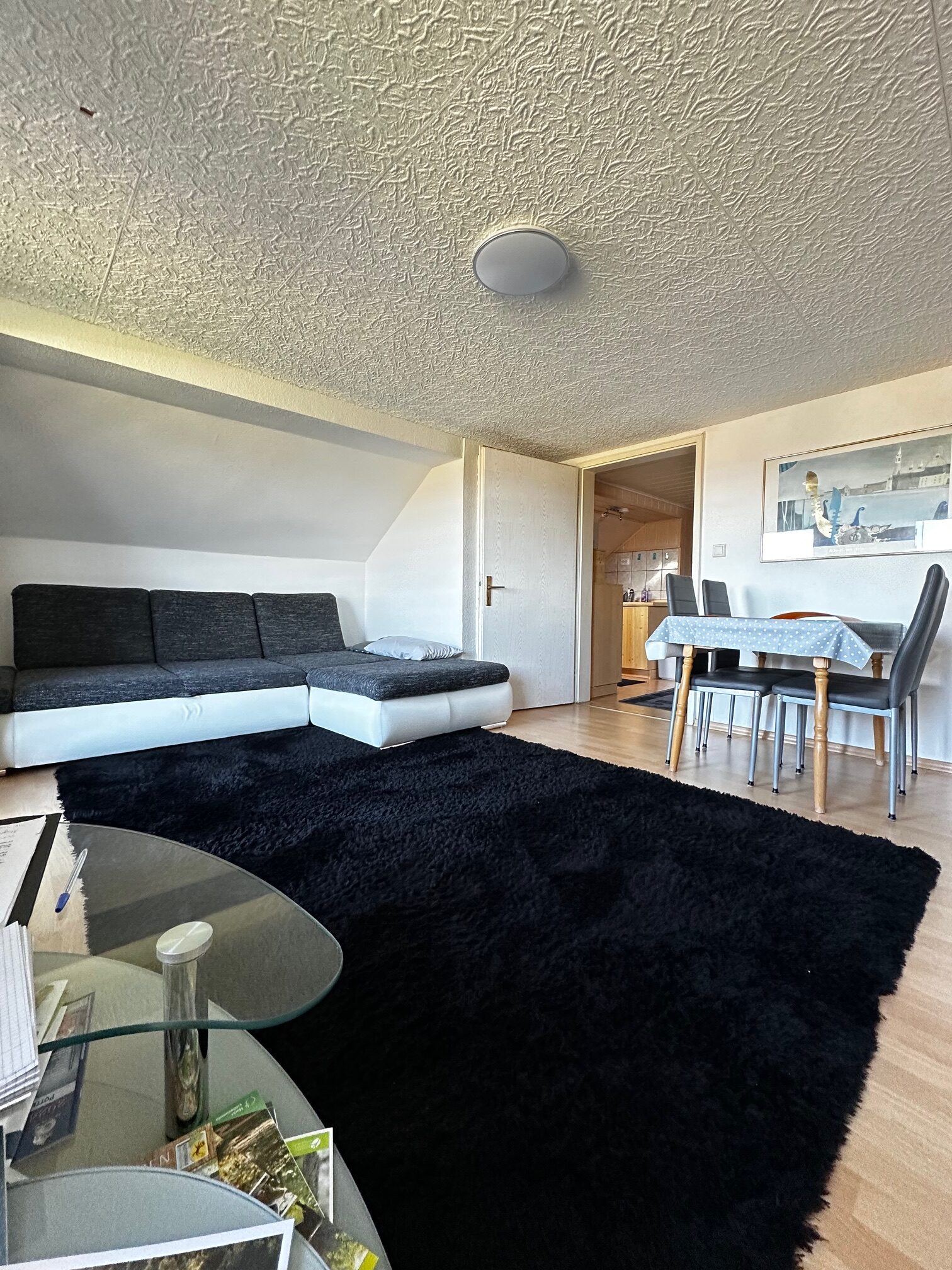 Wohnzimmer mit einem grauen Sofa, einem Tisch und Stühlen auf einem schwarzen Teppich.